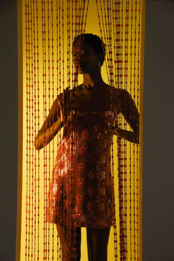 0551DSC 1061 2
